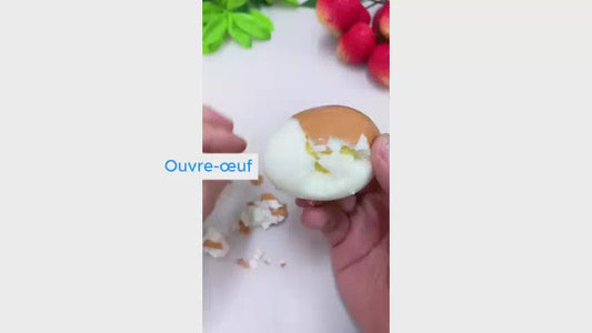 Ouvre-œuf